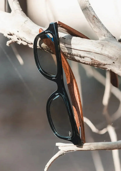 Eyewood ReInvented Acetate & Wood - Wayfarers-7