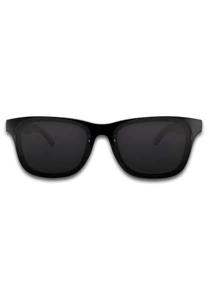 Eyewood ReInvented Acetate & Wood - Wayfarers-1