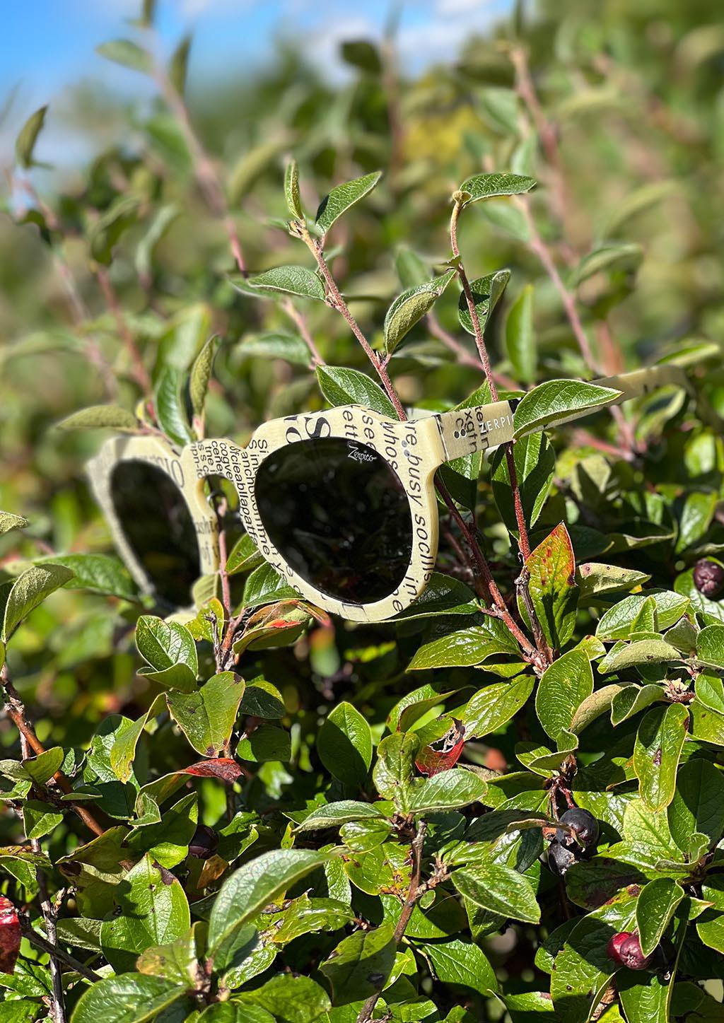 ReVision Round - Umweltfreundliche Recycelbare Papiersonnenbrille-Sonnenbrillen-linaliva.de