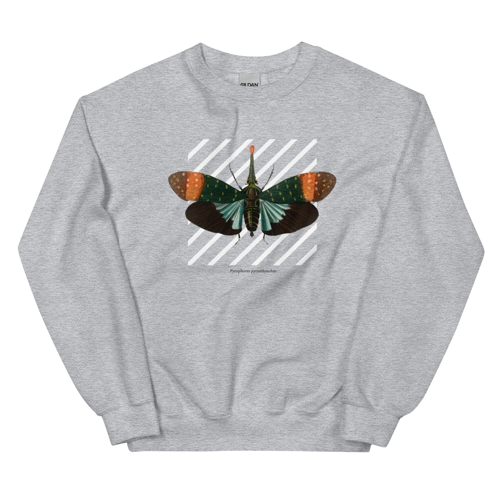 Lanternfly - Unisex Sweatshirt-Sweatshirts-linaliva.de