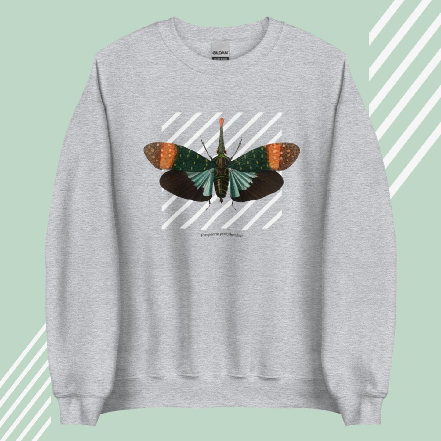 Lanternfly - Unisex Sweatshirt-Sweatshirts-Sport Grey-linaliva.de