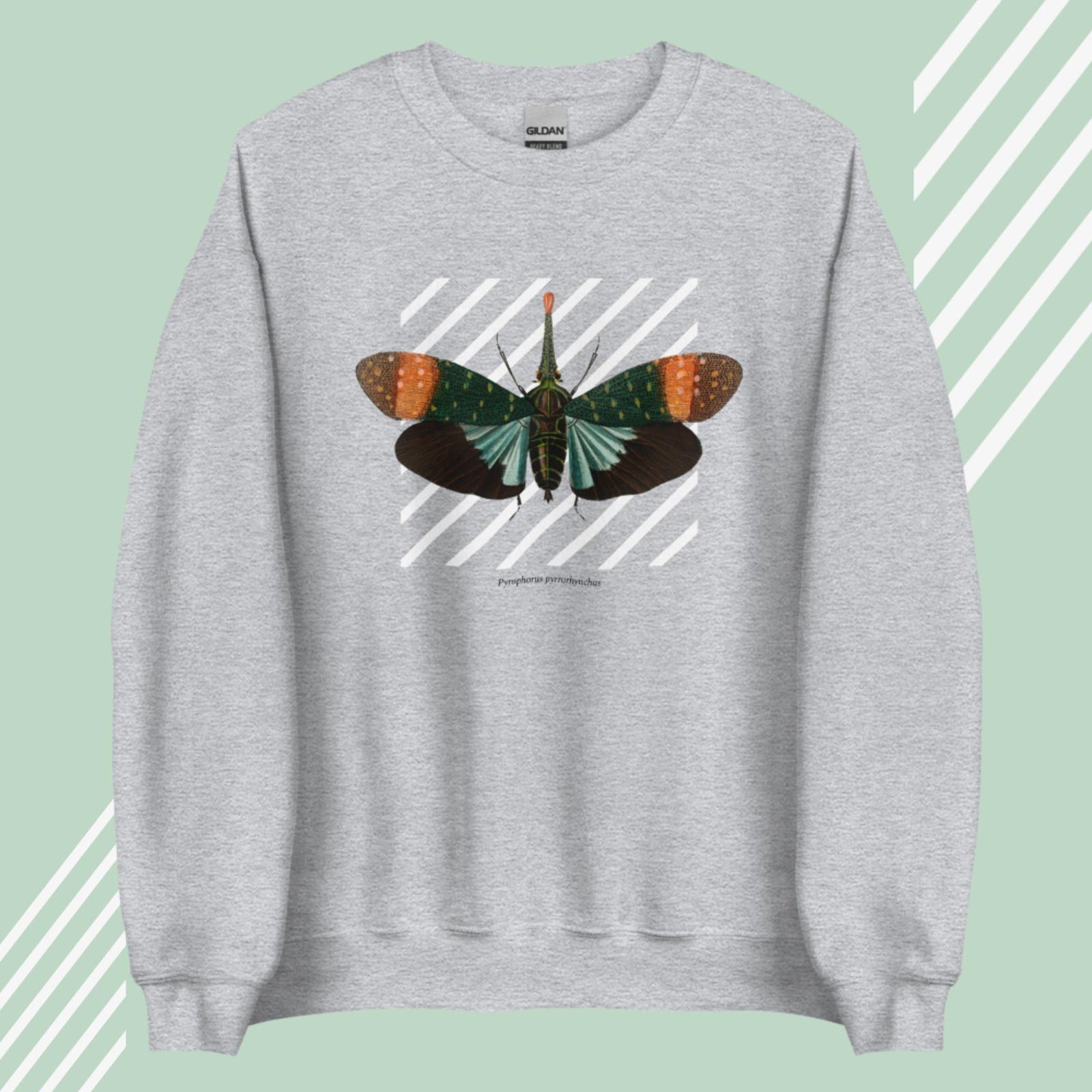 Lanternfly - Unisex Sweatshirt-Sweatshirts-Sport Grey-linaliva.de